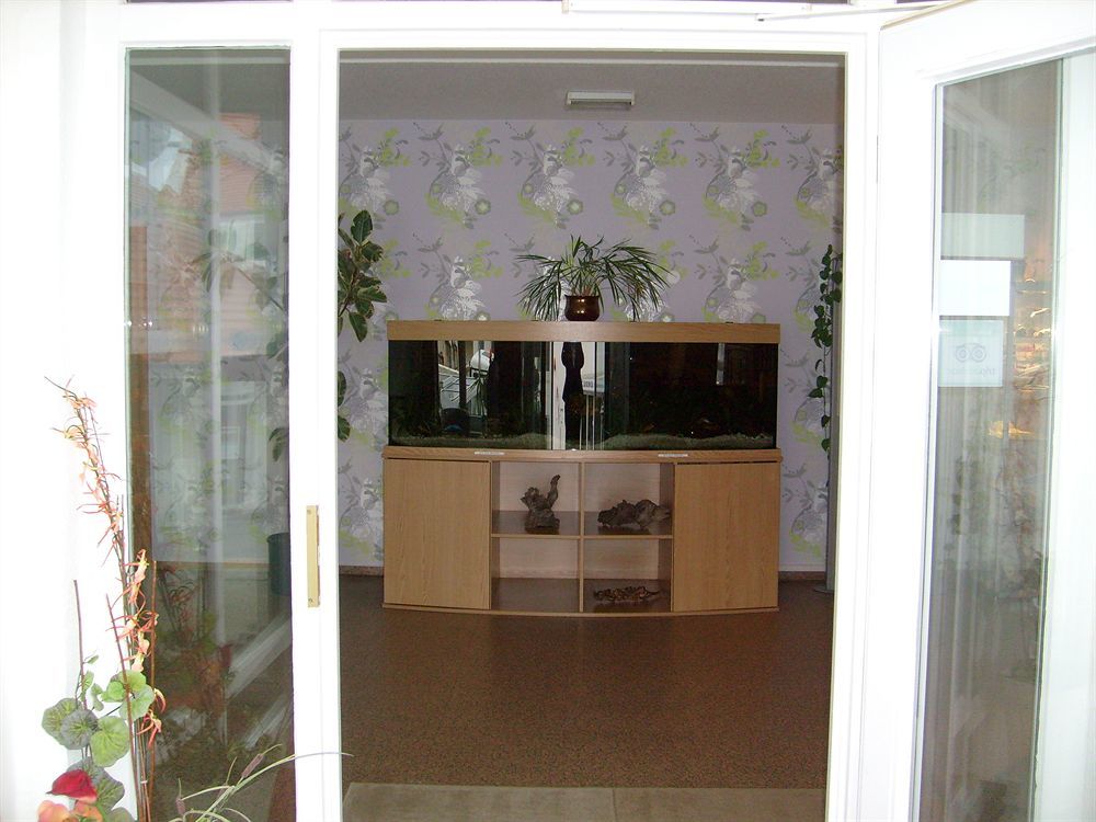 Villa Auszeit Hotel Garni Heringsdorf (Usedom) Exterior foto